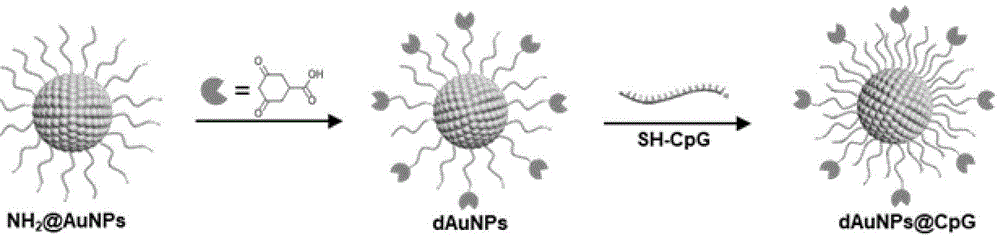一种抗原捕获纳米颗粒及其制备方法在肿瘤免疫治疗中的应用