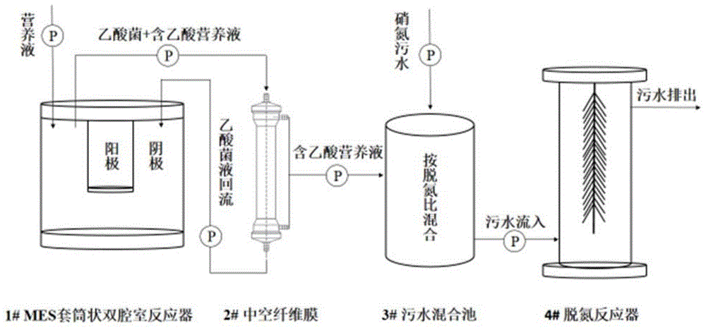 一种基于电化学耦合生物固定二氧化碳的脱氮方法