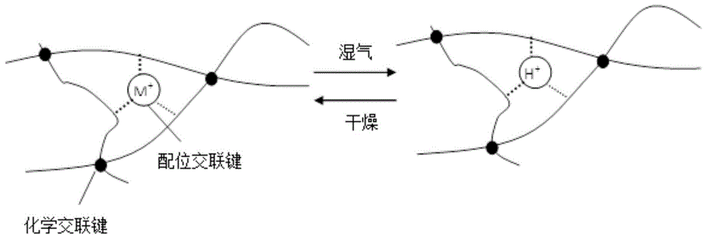 一种具有湿气响应的梯度橡胶材料及制备和使用方法